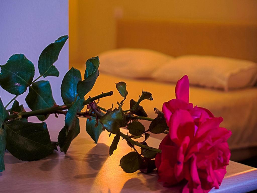 Kriva Resort Elbasan Zewnętrze zdjęcie